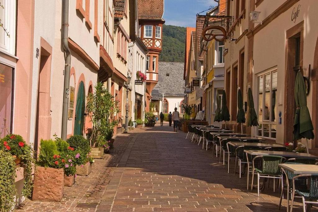 Luftkurort, Perle Des Neckartals Apartment Hirschhorn Bagian luar foto
