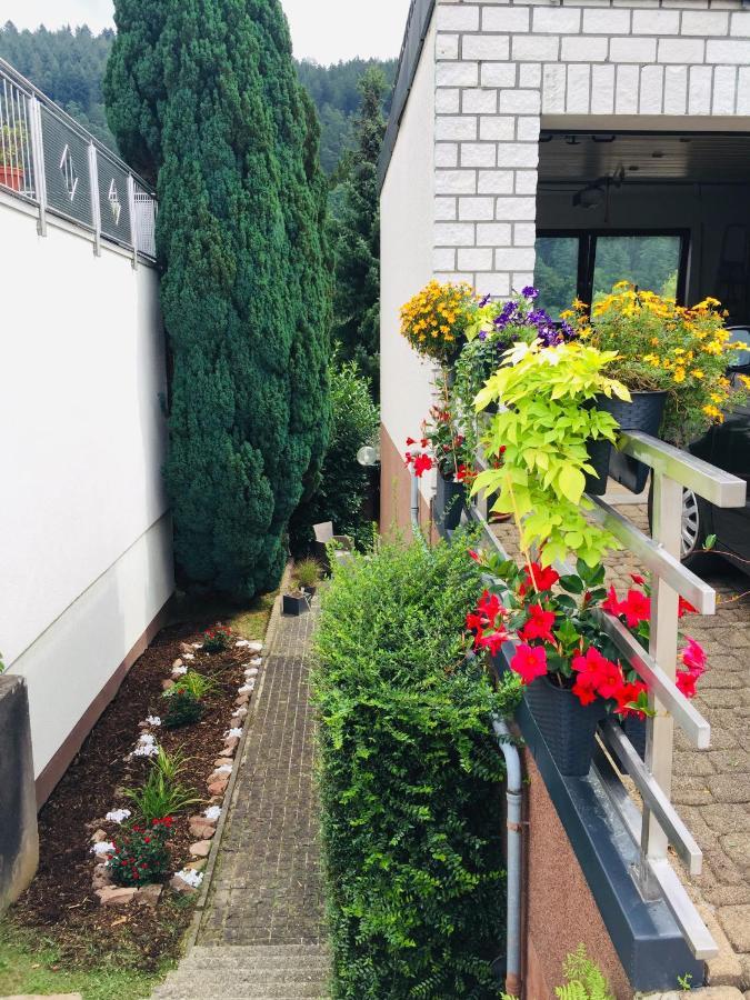 Luftkurort, Perle Des Neckartals Apartment Hirschhorn Bagian luar foto