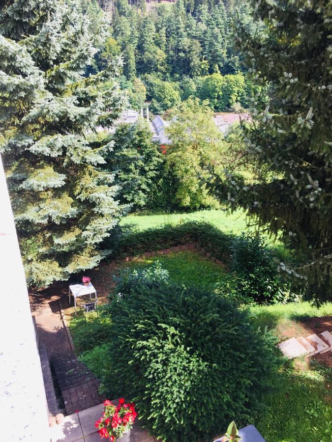 Luftkurort, Perle Des Neckartals Apartment Hirschhorn Bagian luar foto