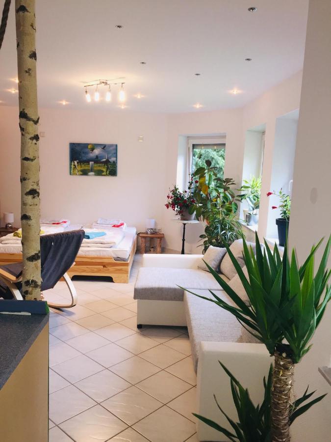 Luftkurort, Perle Des Neckartals Apartment Hirschhorn Bagian luar foto